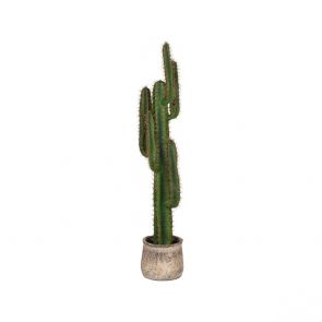 Kunstplant Cactus 30x25x130 cm